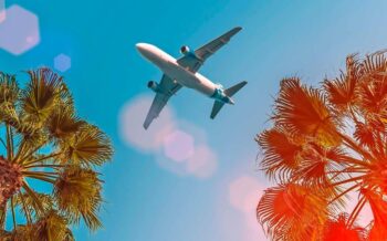 Flugzeug am Himmel, zwei Palmen sind zu sehen, Sonnenschein, Ab in den Urlaub!