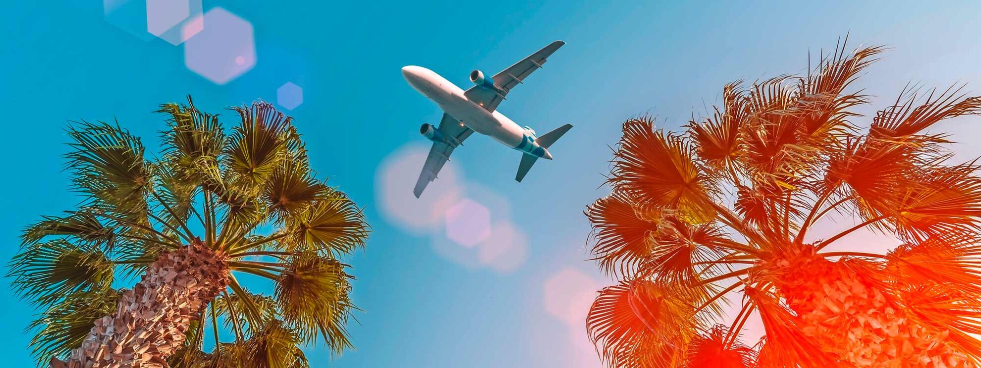 Flugzeug am Himmel, zwei Palmen sind zu sehen, Sonnenschein, Ab in den Urlaub!