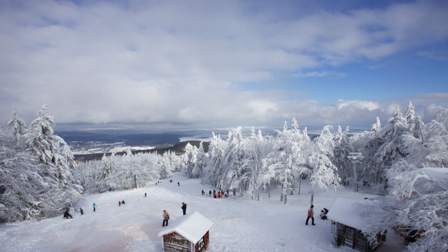 Winter im Thüringer Wald – besinnliche Weihnachtsreisen mit dem Bus Verschneite Winterlandschaft im Thüringer Wald mit Spaziergängern – idyllische Naturkulisse für erholsame Weihnachtsreisen mit dem Bus.