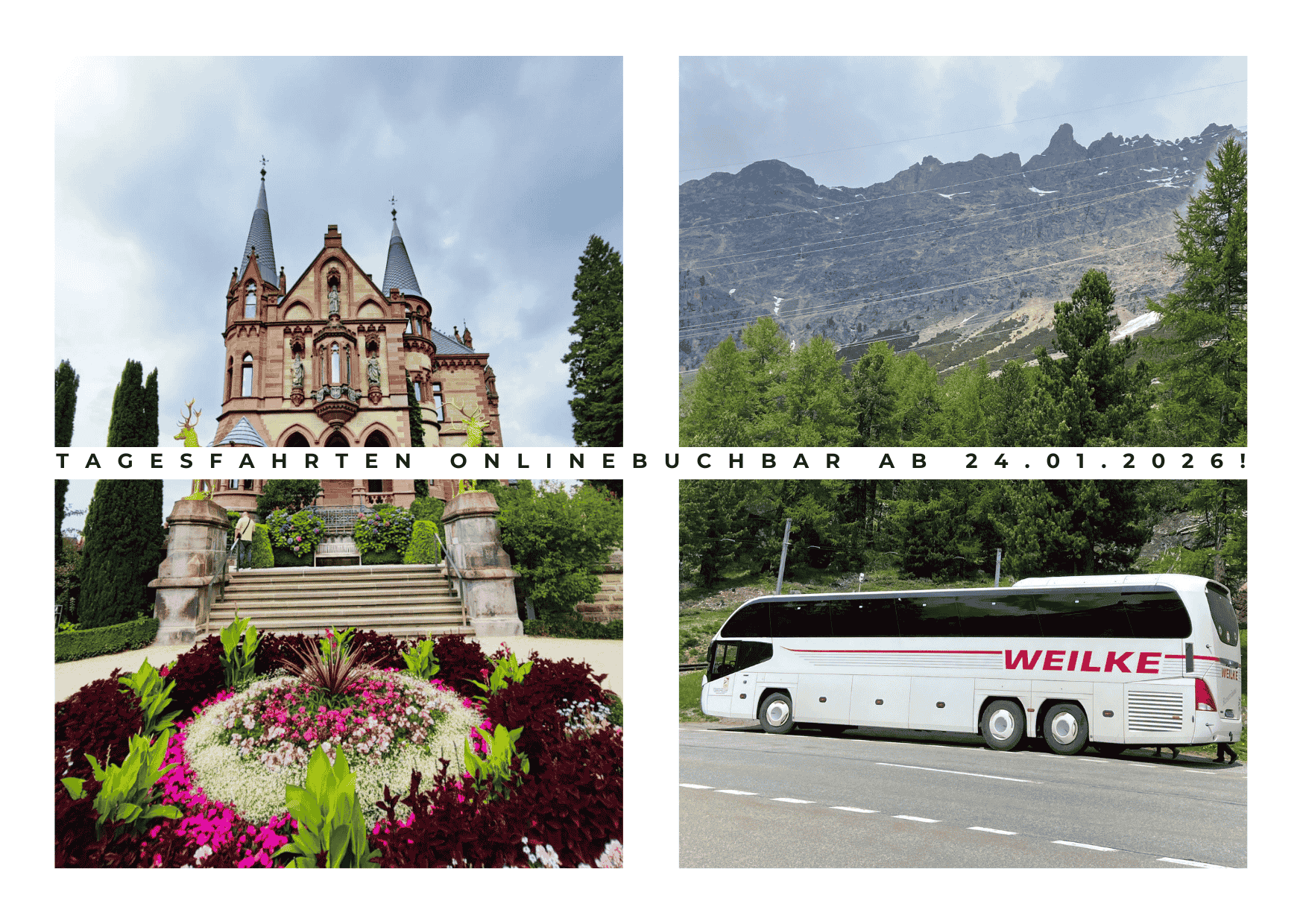 Busbild und Bild vom Drachenfels als Postkarte, mit der Info, dass die Reisen bald online buchbar sind