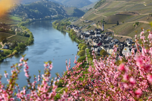 Landschaft der Mosel im Frühling