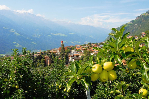 Partschins im Vinschgau