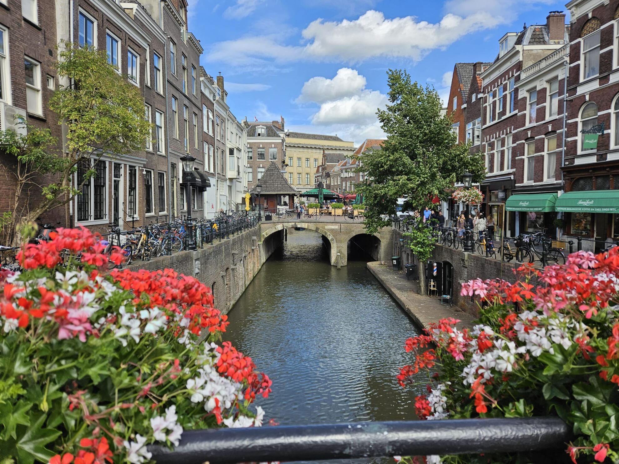 Utrecht, Grachten, Blüten