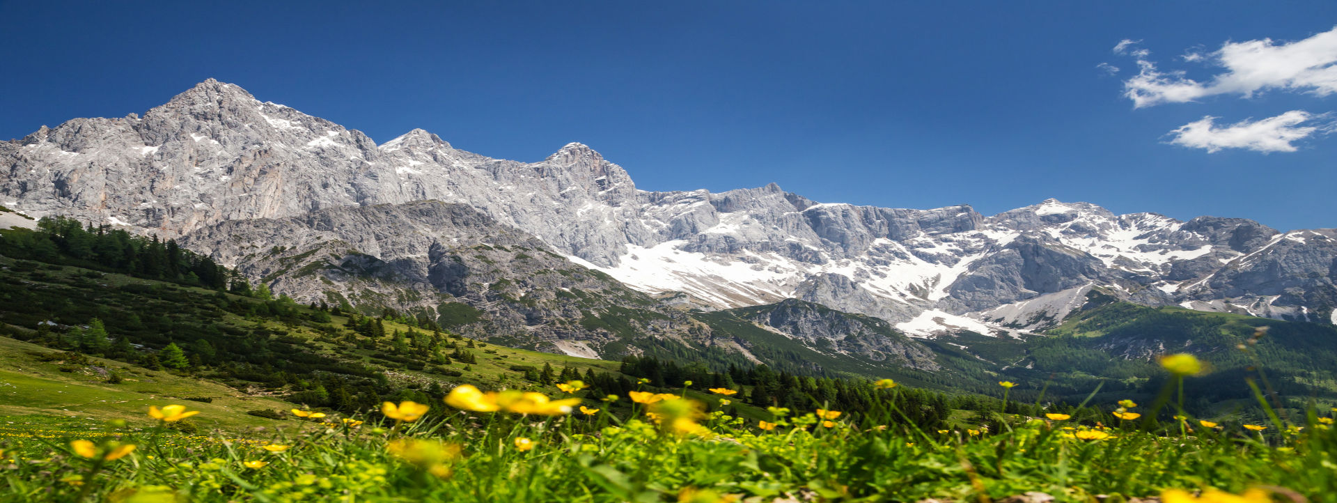 Berglandschaft in den österreichischen Alpen – Reiseziel für Busreisen nach Österreich