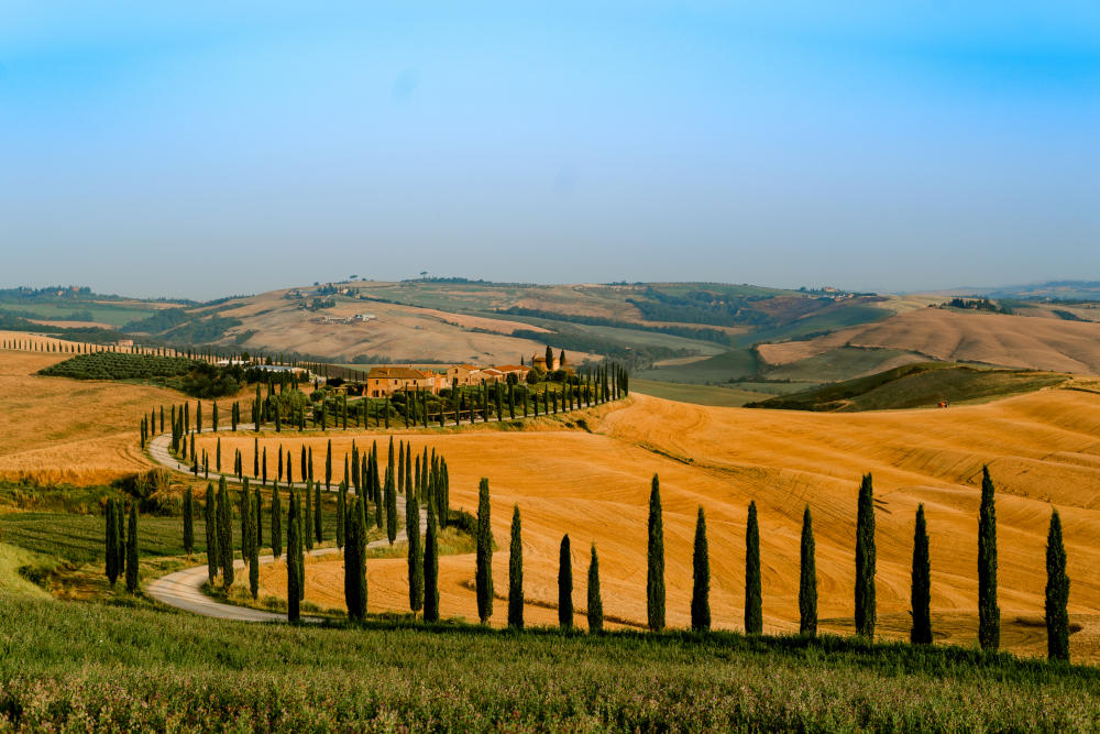 Geschwungene Zypressenallee führt zu einem Landgut inmitten goldgelber Hügel und Felder der Toskana in Italien