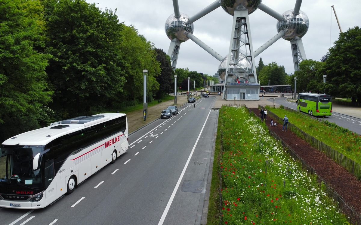 Lebendiges, malerisches Flandern