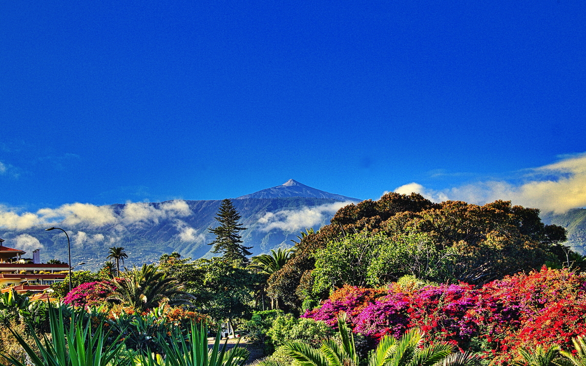 Flugreise Teneriffa