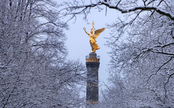 Siegessäule in Berlin, umgeben von schneebedeckten Bäumen im Winter.