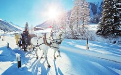 Pferdeschlitten fährt durch verschneite Winterlandschaft bei Sonnenschein.