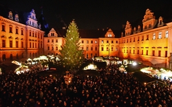 Weihnachtsmarkt im Schlosshof mit geschmücktem Baum und Menschenmenge bei Nacht.