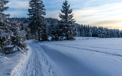 Verschneiter Pfad durch winterliche Landschaft mit Tannen und blauem Himmel.