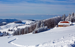 Winterlandschaft mit Schnee, Tannenwald und Berghütte im Hintergrund.