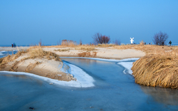 Winterliche Küstenlandschaft mit Eis und Gräsern unter blauem Himmel.