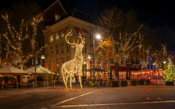 Städtische Platz bei Nacht mit leuchtender Hirschskulptur und Lichterketten.