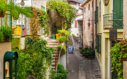 Schmale gepflasterte Gasse mit Pflanzen und Gebäuden in einem Dorf.