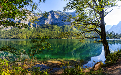 Bergsee mit klarer Wasseroberfläche, umgeben von Wald und Bergen bei sonnigem Wetter.