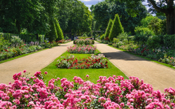 Blumenbeete mit rosa Blumen in einem gepflegten Garten mit Gehwegen und Bäumen.