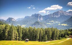 Alpenlandschaft mit Wäldern, Wiese und Bergen im Hintergrund bei klarem Himmel.