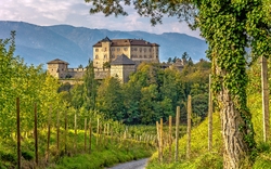 Schloss auf einem Hügel, umgeben von Bäumen, mit einem Weg im Vordergrund.