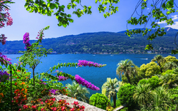 Blick über einen See mit bunten Blumen und Bergen im Hintergrund.