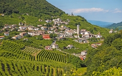 Dorf mit Kirche in hügeliger Landschaft, umgeben von Weinbergen und Wäldern.