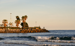 Wellen am Strand mit Palmen und Felsen im Hintergrund.
