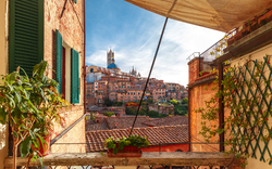 Blick auf Altstadt von Siena mit Pflanzen und Sonnensegel im Vordergrund
