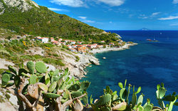 Küste mit Dorf am Hang und Meer im Hintergrund, Kakteen im Vordergrund.